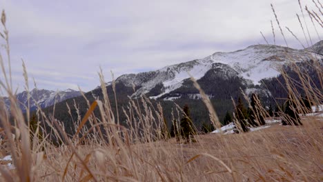 4K-Dolly-Rocky-Mountains-and-Weeds-Left-to-Right