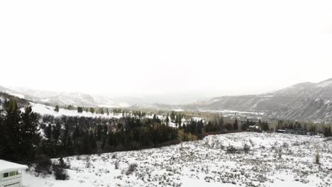 Winterlandschaft-Rocky-Mountains-Tal-Mit-Kiefern-Und-Schneebedecktem-Feld-In-Der-Nähe-Von-Estes-Park,-Colorado-Usa