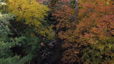 Durch-Herbstliche-Bäume-Hinunterfliegen-Und-Kleine-Hohe-Fälle-In-Bracebridge,-Ontario,-Kanada,-Enthüllen