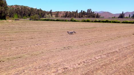 Filming-of-an-Agricultural-Smart-Drone-Flying-over-a-Crop-Field,-Agro-Landscape,-by-Itself,-Professional-Vehicle-Aircraft-Equipment