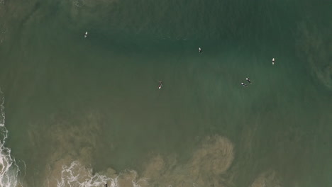 4k-Drone-top-view-shot-surfers-surfing-at-Yamba,-Australia