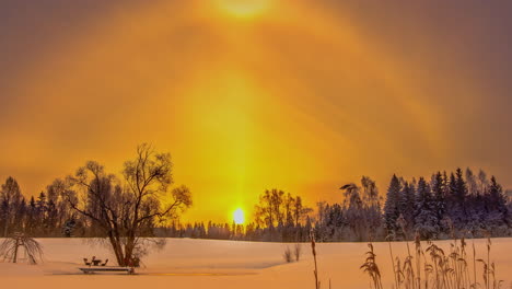 Sanft-Golden-Leuchtender-Sonnenaufgang-über-Einer-Verschneiten-Wiese-Aus-Schnee-Und-Laub---Verträumter-Zeitraffer