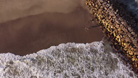 Aerial-top-down-shot-of-surfer-entering-sea-with-surfboard-during-sunset-time---Waves-and-Foam-reaching-sandy-beach