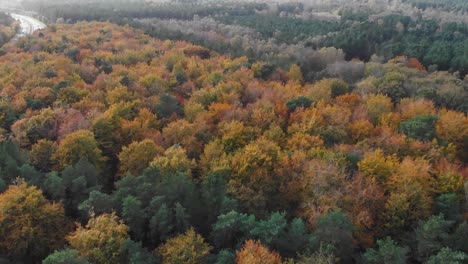 Aerial-view-of-a-forest-trees-whose-leaves-have-party-turned-yellow-indicating-onset-of-autumn-season-with-a-highway-running-through-it
