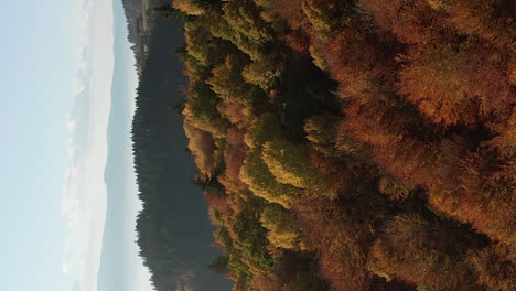 Calming-flyover-above-beautiful-autumn-forest