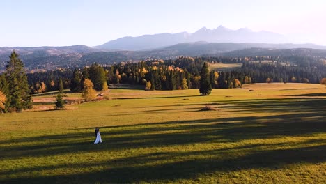 Stunning-aerial-shot-of-young-couple-walking-through-empty-green-field-in-front-of-huge-mountains,-sunset,-forest,-following-shot