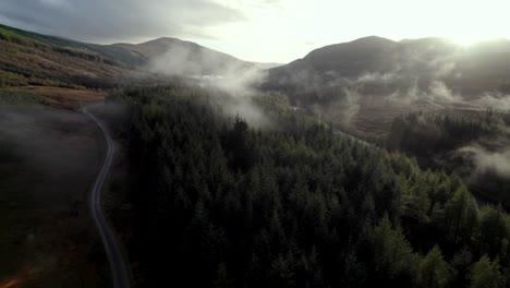 Aerial-drone-footage-slowly-rising-above-a-dark-forest-of-conifer-trees-and-a-river