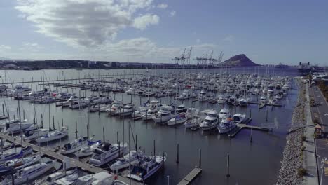 Full-Tauranga-Bridge-harbor-with-recreational-yachts-on-sunny-day,-aerial