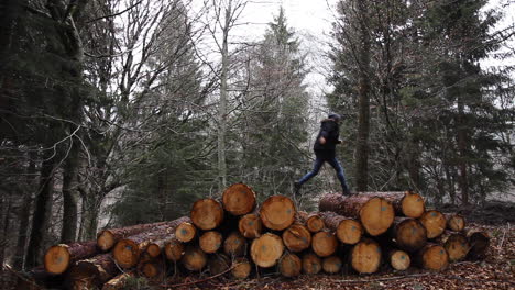 Walking-uphill-on-firewood-logs-at-Swiss-alps-woods