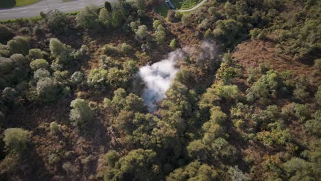 Aerial-view-circling-around-a-natural-hot-spring-within-dense-bushland-and-forest-at-golden-hour