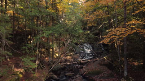 Aufsteigend-Auf-Gebirgsfluss-Und-Herbstwaldbäumen-Im-Algonquin-Provincial-Park-Im-Südosten-Von-Ontario,-Kanada
