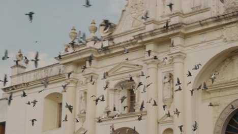 Hovering-Flock-Of-Pigeons-On-The-Parish-Of-San-José-In-Antigua-Guatemala,-Guatemala