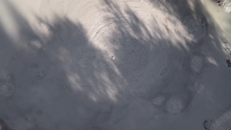 Top-down-drone-view-of-hot-bubbling-mud-with-soft-shadows-of-the-surrounding-trees