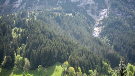 Zeitraffer-Eines-Waldes-Mit-Baumpollen-In-Stürmischen-Föhnwinden-In-Den-Schweizer-Alpen