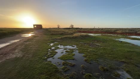 Golden-sunset-view-of-bog-shallow-marshlands-lands-with-a-small-brick-built-building,-Coastal-scene-with-golden-sunset,-shallow-rippling-water,-and-lush-plant-life