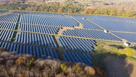 Solar-Farm-in-UK-between-trees-with-Autumn-coloured-leaves-dolly-left