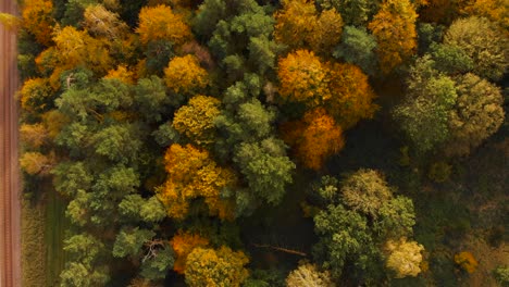 Aerial-view-of-a-autumnal-forest-with-rail-tracks-running-on-the-outer-boundary-of-the-forest