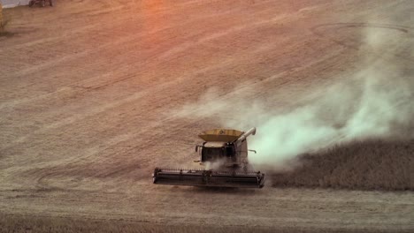 Aerial-long-zoom-of-combine-harvester-in-soybean-field-during-golden-hour-light