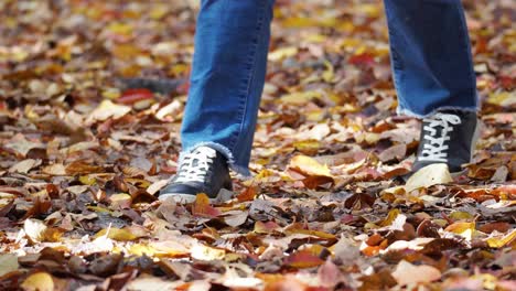 Legs-of-unrecognizable-people-walking-on-colorful-fallen-leaves-in-a-park---close-up