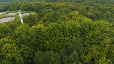 Revealing-Drone-Shot-of-a-Watch-Tower-in-Forest-4K