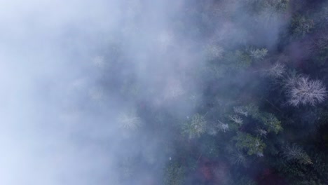 Von-Oben-Nach-Unten-Stimmungsvoller-Luftiger-Bergwald-In-Wolken-Und-Nebel-Langsam-Entspannend-Fliegen