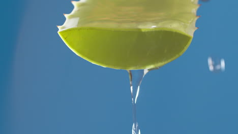Pure-water-drops-and-streams-to-green-aloe-vera-on-blue-background