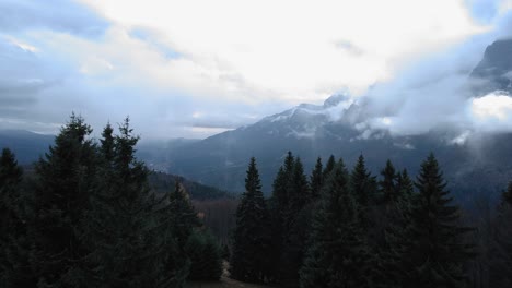 Drone-shot-flying-passing-some-pine-trees-with-a-mountain-misty-landscape