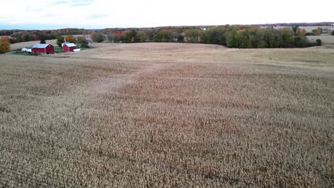 Farm-land-harvested-in-autumn-in-Michigan