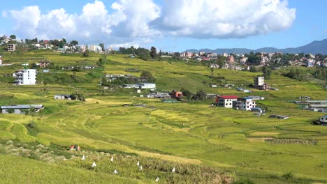Eine-Schwenkansicht-Der-Reisfeldterrassen-Mit-Einer-Kleinen-Stadt-Im-Hintergrund-Mit-Den-Ausläufern-Des-Himalaya-In-Nepal