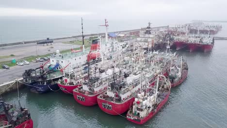 Varios-Barcos-Industriales-De-Pesca-Incidental-Atracaron-En-El-Puerto-De-Mar-De-Plata,-Argentina