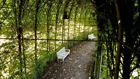 Grüner-Korridor-Des-Naturparks-In-Kleve,-Deutschland,-Luftaufnahmen-über-Die-Galerie-Grüner-Pflanzen-Und-Stengel,-Die-Wunderschön-Und-Touristisch-Ist