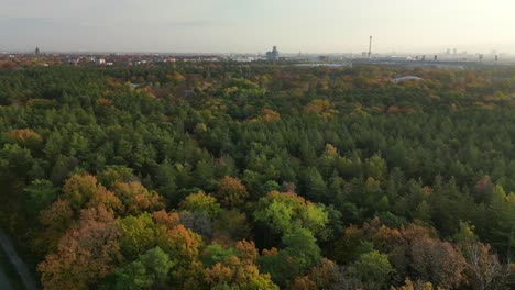 Berlin-grunewald-is-a-mixed-forest