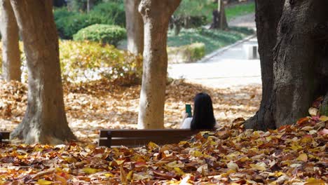 Colorful-Autumn-fallen-leaves-covering-ground-in-a-park-where-woman-sitting-on-the-bench-and-watches-mobile-phone