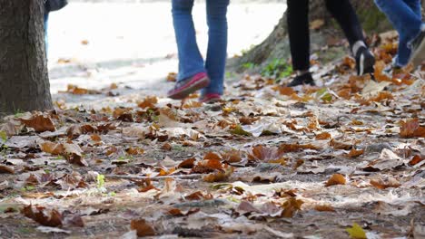 Legs-close-un---Group-of-people-walking-on-fallen-leaves-in-a-Park-Daytime