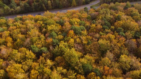 Aerial-view-forwarding-shot-of-a-busy-highway-running-through-the-autumnal-forest-and-one-of-the-bylanes-leading-a-small-town-on-the-outskirts-of-the-forest-on-a-bright-sunny-day