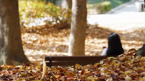 Colorful-Leaves-falling-on-ground-in-Autumnal-park-while-girl-resting-on-a-bench-in-blurred-background