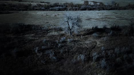 Prairie-land-and-forest-area-in-the-country-during-the-night-filmed-from-above-with-a-drone