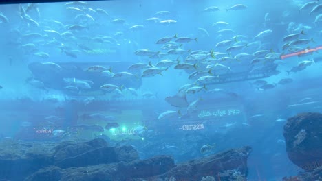 Giant-Aquarium-In-Hotel-Atlantis,-Dubai