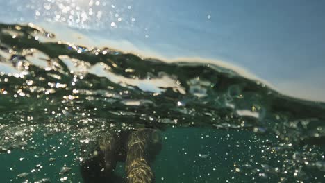 Halbe-Unterwasser-Rückansicht-Des-Erwachsenen-Mannes,-Der-Mit-Taucherflossen-Schwimmt