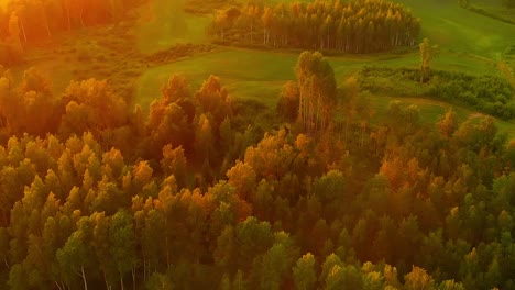 Golden-hour-sunlight-over-trees-in-Eastern-Europe,-nature-landscape-in-Latvia