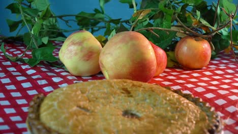 Apfelkuchen-Mit-Honig-Knackiger-Apfel-Auf-Einem-Rot-weiß-Karierten-Tischtuch