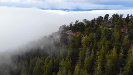 Rocky-Mountain-Alpine-Woodland-Peak-Over-Low-Foggy-Clouds