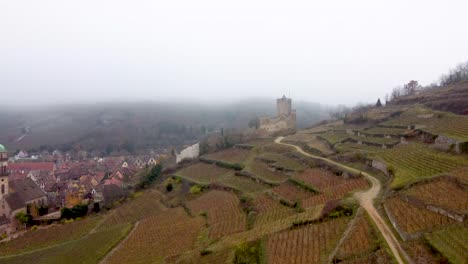 Vineyards-and-Castle-of-Kaysersberg,-Alsace_Aerial-Pano