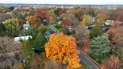 Gehobene-Nachbarschaft-Im-Herbst-Herbstlaub