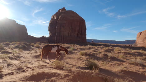 Ein-Schwenk-über-Eine-Gruppe-Von-Pferden-Im-Monument-Valley,-Arizona,-Vereinigte-Staaten