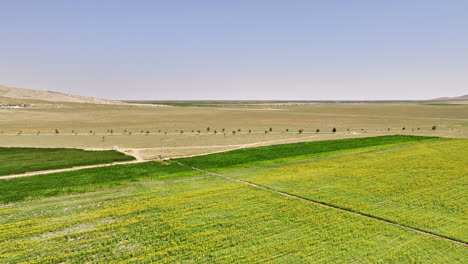 Konya-Province-Turkey-Aerial-v2-low-level-flyover-rural-karadona-and-katrancı-farmlands-capturing-beautiful-sunflower-fields-on-a-sunny-day-in-remote-countryside---Shot-with-Mavic-3-Cine---July-2022