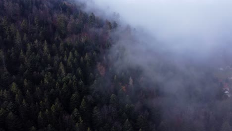 Stimmungsvolle-Antenne-über-Dunklem-Wald,-Drohne,-Die-In-Dicke-Wolken-Eindringt
