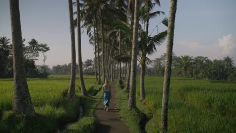 Blond-fit-female-tourist-walking-along-scenic-path-with-line-of-coconut-trees,-Mancingan-rice-fields