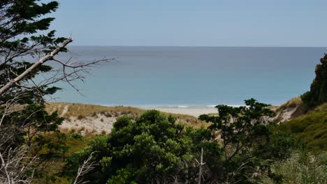 Panorama-view-of-tropical-beach-with-blue-ocean-water-during-hike-on-Te-Whara-Track-in-New-Zealand---View-between-plants-and-grass-in-summer