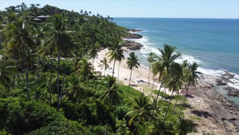 Palmen-Und-Wunderschöne-Brasilianische-Strände-In-Einer-Ozeanischen-Küstenstadt